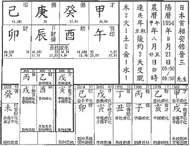 時刃格|命理正宗 格局解説 命式例集